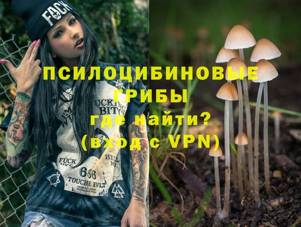 спиды Осинники