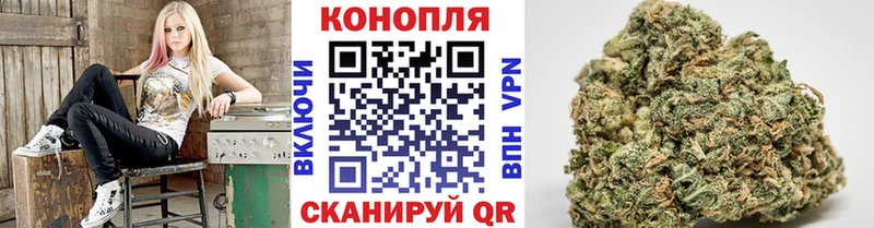закладка Абдулино Каннабис SATIVA & INDICA